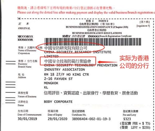 浙江省計算機信息系統(tǒng)集成協(xié)會與中國安全技術防范行業(yè)協(xié)會法人同一現(xiàn)象及其對行業(yè)的影響